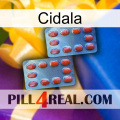 Cidala 05